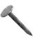 NAILS ROOFING 7/8" EG 5 LB BOX