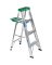 WER-354 4FT AL STEP LADDER T2