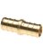 COUPLER PEX 1/2INCH BRASS