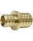 COUPLER PEX 3/4INX1IN BRASS