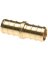 COUPLER PEX 1/2IN BRASS 10PK