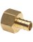 ADAPTER PEX 1/2IN BRASS FEMALE