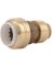 COUPLE TRANS 1/2CTS X1/2IN PVC