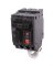GFCI INTERUPTER 30AMP 2POLE
