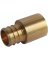 1443266 3/4IN PEX ADAPTER CPLG