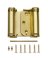 SPRING HINGE STN BRASS 3IN