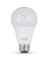 7W/15W/23W A21 5000K LED Bulb