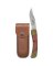KNIFE SCHRADE BEARPAW 5"