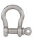 1/4 SS Screw Pin Shackle