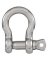 3/8 SS Screw Pin Shackle