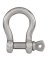 3/16 SS Screw Pin Shackle