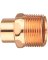 3/4 MPT Street Adapter         *