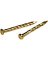 NAIL TRIM BRASS PLTD 1-1/4 IN