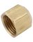 CAP FLARE BRASS 1/4 IN