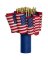AMERICAN FLAG