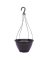 10" TC Hanging Basket