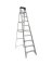 LADDER STP AL TYP1A 10 FT