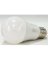 Sylvania 40204 LED Bulb, General Purpose, A19 Lamp, E26 Lamp Base, Frosted,