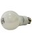 Sylvania 40663 LED Bulb, 11 W, Medium E26, A19 Lamp