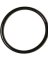 76 O-RING