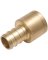 ADAPTER BRASS 1/2PEX X 1/2F SW