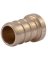 PLUG PEX 1/2IN