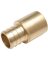 ADAPTER BRASS 3/4PEX X 3/4M SW