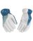WOMEN S GLOVE INSL WINTER GOATSK