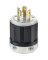 20A-250V LOCKING PLUG