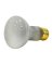 BULB REFLEC FLDLT FRO R20 30W