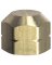 1/8"  BRASS CAPS (NPT)