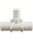 PEX - B 1 BARB 1 BARB 1/2 TEE