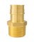 Apollo Valves ExpansionPEX Series EPXMA11 Pipe Adapter, 1 in, Barb x MNPT,