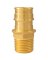 Apollo Valves ExpansionPEX Series EPXMA3412 Pipe Adapter, 3/4 x 1/2 in, Barb