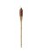 BON-Y2568/1005 TORCH TIKI 5FT