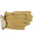 GLOVE GRAIN LEATHER LINED LRG