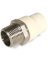 ADAPTER SS MPT X CTS 1/2