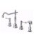 D414357SS KIT FAUC 2HDL W/SPRY