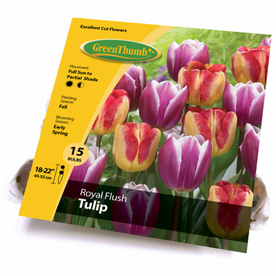 GT 15CT Tulip Blend