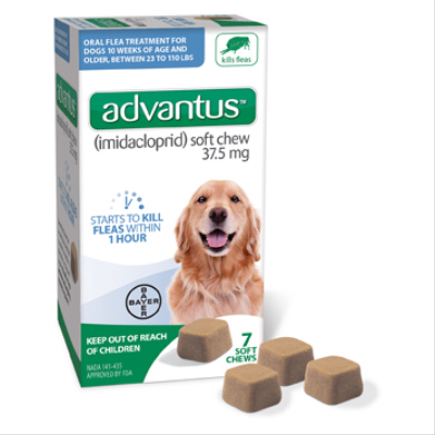 7PKAdvantus Chew LG Dog