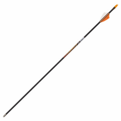 3CT 26" FBG Arrow