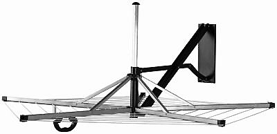 Cardinal Hummingbird