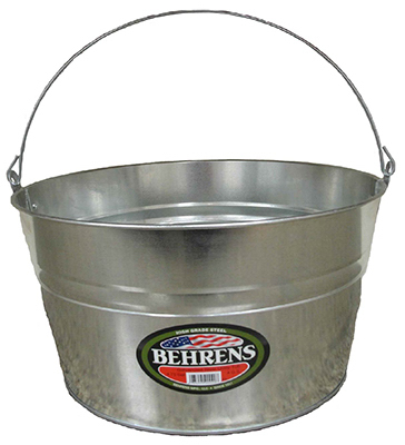 PURPCoronet Hummingbird