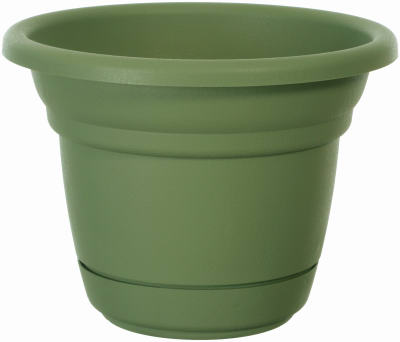 24PC EZ Rain Gauge DSP