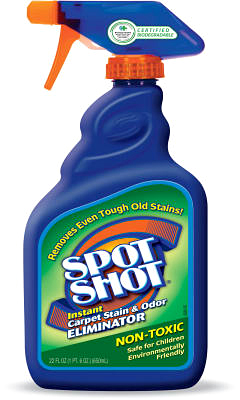 DC 22OZ Carp Stain Remover