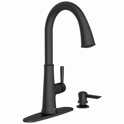 BLK Fauc/Soap Dispenser