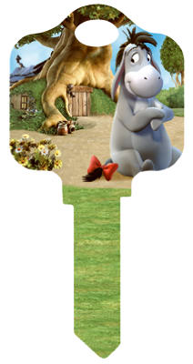 60 RGB SLV String Light