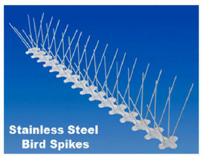 6' Stainless Steel Bird Spike