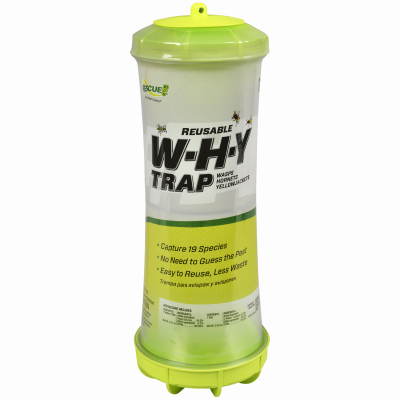 Why Wasp Hornet Trap