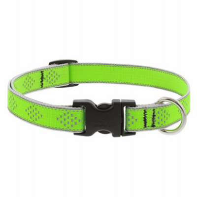 3/4x9-14" GD Dog Collar